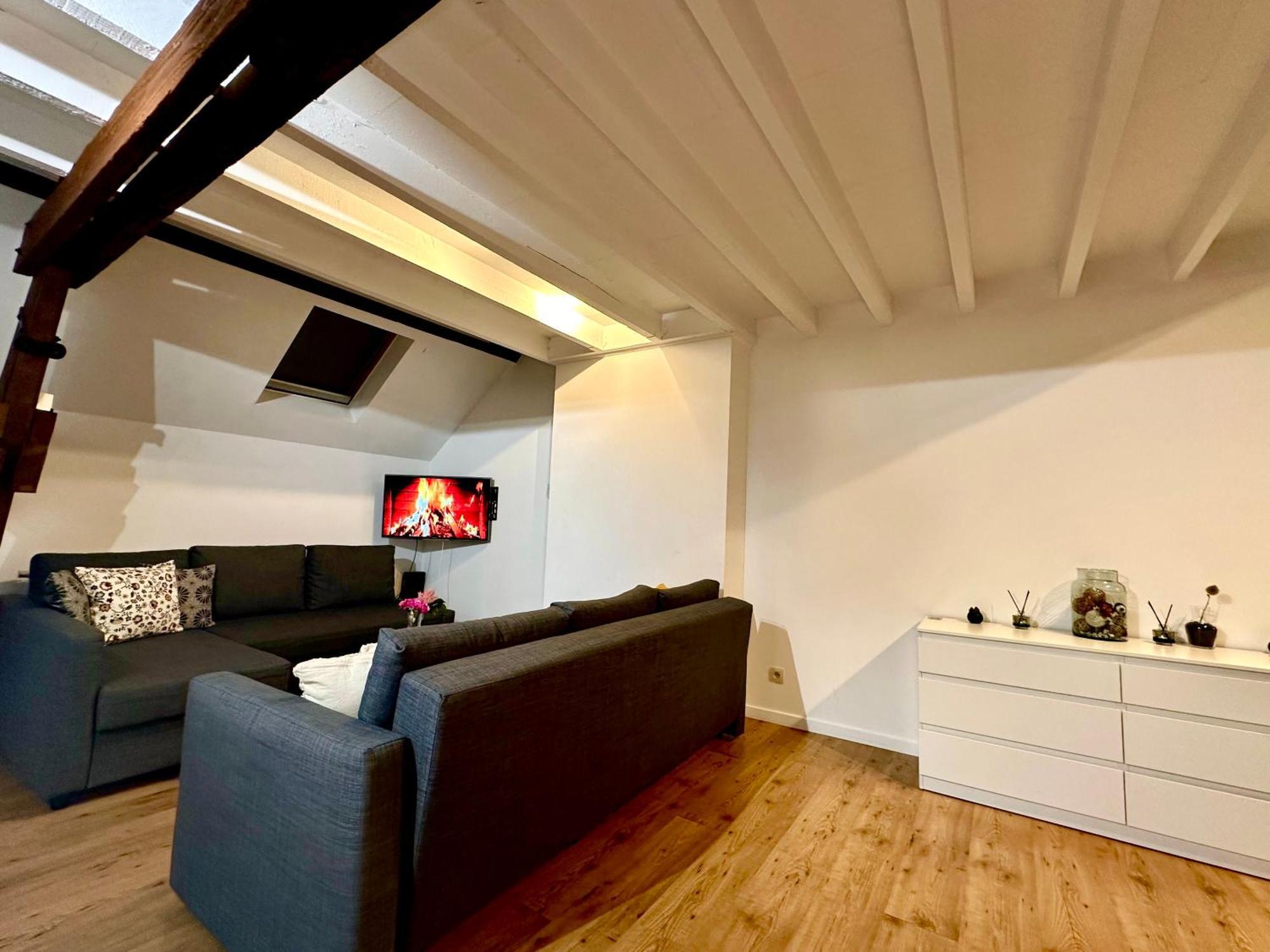 Luxury Suites Centrum By Rikas Hotels Antwerpen Eksteriør bilde