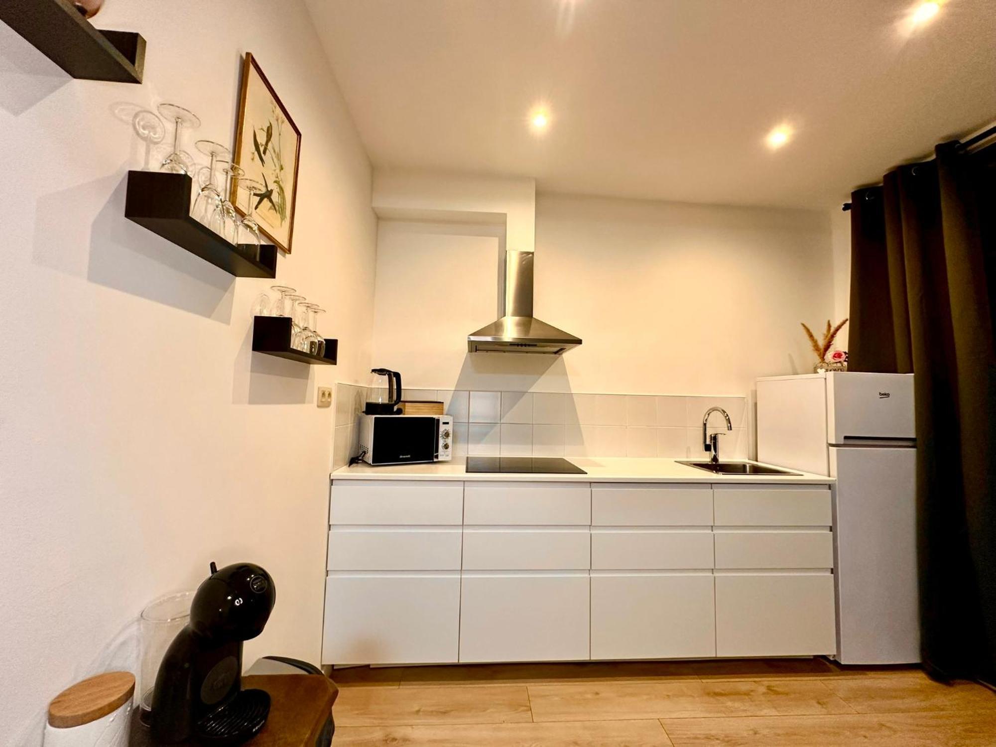 Luxury Suites Centrum By Rikas Hotels Antwerpen Eksteriør bilde
